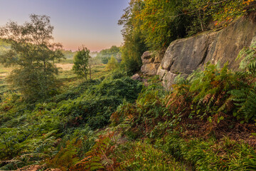 Fototapeta na wymiar Autumn is coming at Harrisons Rocks on the high weald near Groombridge on the East Sussex Kent border south east England