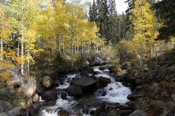 Felsiger Fluss mit Spritzwasser im Herbstwald © Subhash Sriram/Wirestock Creators