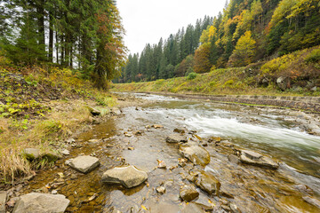 Landscape of a river in the Carpathians on a cloudy day