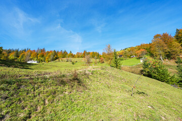 Fototapeta premium Autumn landscape of the Carpathians on a sunny day