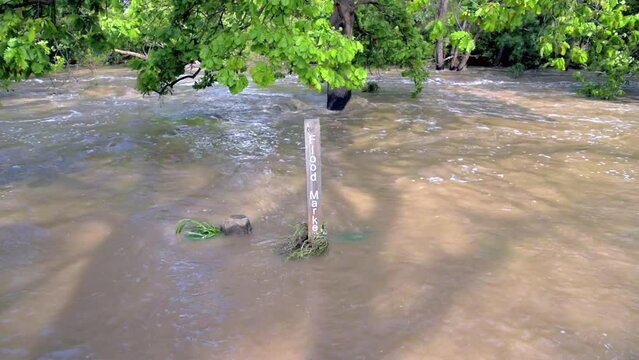 A wooden flood marker post surrounded by the rushing waters of Merri Creek in Melbourne, Australia