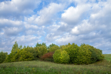 Landscape autumn field with colourful trees, autumn Poland, Europe and amazing blue sky with clouds, sunny day	