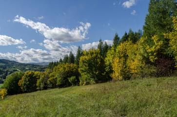 Fototapeta na wymiar Panorama pola i łąki 