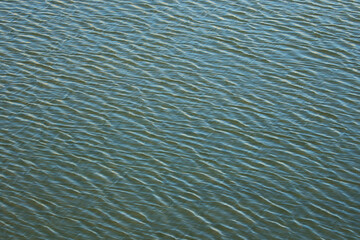 Waves on the sea surface