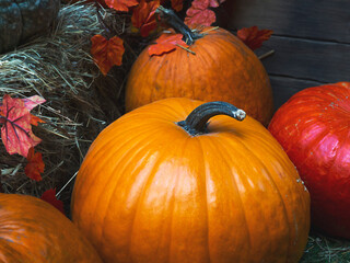 A large pumpkin in close-up.
