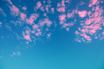 Fototapeta na wymiar Blue sky with fluffy pink clouds at sunset. Sky texture, abstract nature background