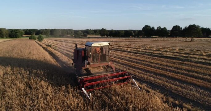 drone fly around harvest machine red tractor working at weat field farm during sunset golden hours 