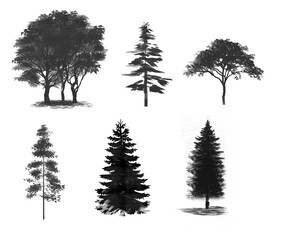 Decorative set with trees and tree shape. Contour drawing with tree and forest.