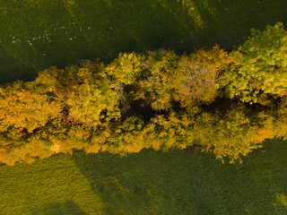 drone flight over colorful autumn landscape in october in lower austria near vienna forest