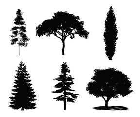 Decorative set with trees and tree shape. Contour drawing with tree and forest.