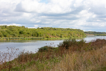River in nature in summer.