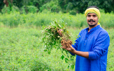 Young indian farmer holding groundnut plant in hand at agriculture field