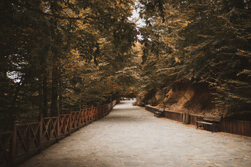 autumn