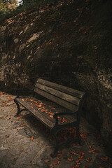 autumn