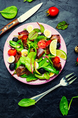 Diet salad with meat and herb