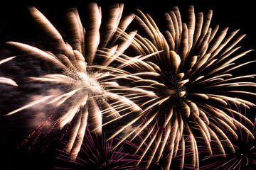 Close-up of colorful fireworks on black background.