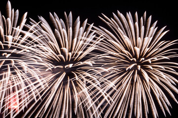Close-up of colorful fireworks on a black background.
