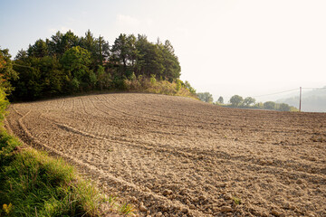 Plowed Field in the Marche region of Italy in Belvedere Fogliense near Pesaro and Urbino. The...