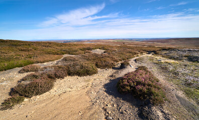 A dirt trail path that runs through the remote heather moorland common below Bolt's Law near Blanchland in Northumberland on the County Durham border, England UK.