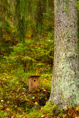 squirrel in the forest . leesie bird house