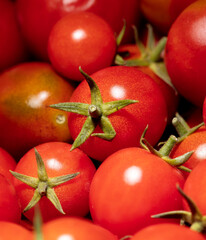 Red cherry tomatoes as background.