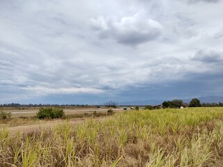clouds over the field
