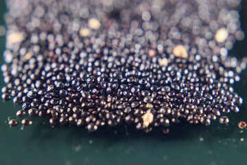 Seeds of Seeds of Stem Amaranth