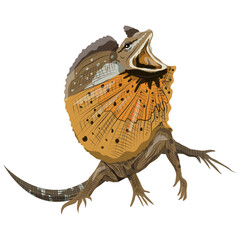 Frilled dragon or frilled agama with open hood. Wild reptiles. realistic vector animal - obrazy, fototapety, plakaty