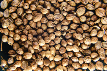 Sack Whole Coriander Seeds