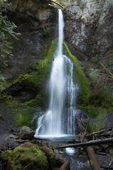 Obraz premium A shot of Marymere Falls, Olympic Peninsula, USA