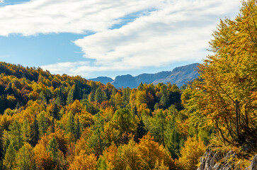 autumn in the mountains