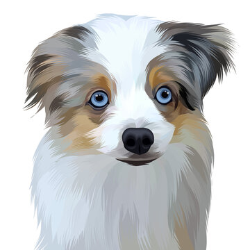 Cute dog photo with transparent background