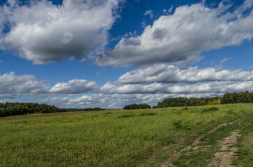 Wśród łąk i pól 