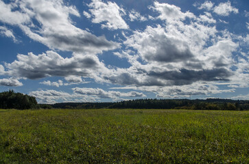 Obraz premium Wśród łąk i pól 