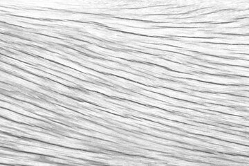 Old wood texture with natural white grey background