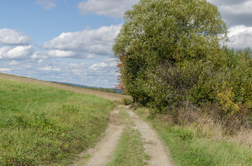 Droga w polach 