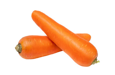 Two fresh orange carrots isolated