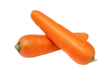 Two fresh orange carrots isolated