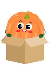 Funny orange pumpkin mascot in cardboard box

