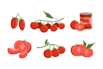 Red Tomato Food with Raw Vegetable and Canned Product Vector Set
