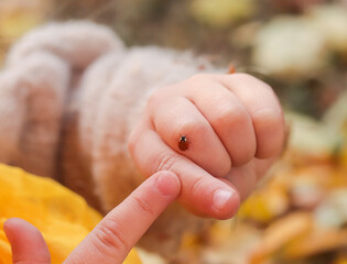 Close-up of ladybug on child hand on the blurred backround of fallen yellow leaves © Оксана Рязанова