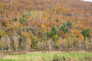 カラフルな秋の山
