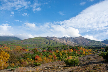 Fototapeta na wymiar 秋のカラフルな林と火山の山頂 
