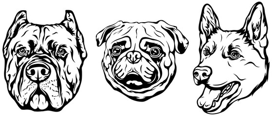 Hand drawn face of dogs. Black and white png illustration mascot art.