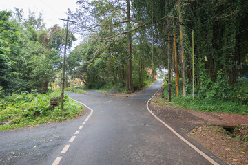 Monte Road, Loutolim, Goa 403718