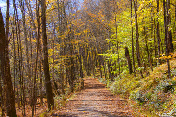 Beautiful  fall colors in the Canadian countryside at fall in the province of Quebec