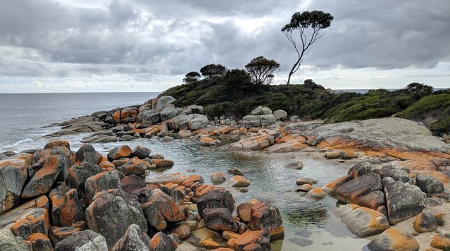 Bicheno, tasmania, australia