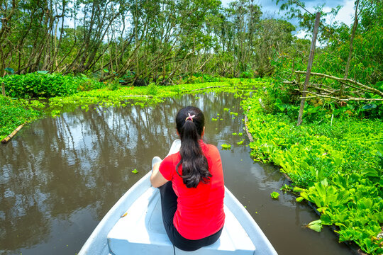 Traveler Woman On A Boat Tour Along The Canals In The Mangrove Forest. This Is An Eco Tourism Area At Mekong Delta In An Giang, Vietnam