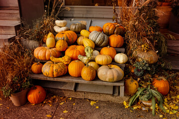 Fall and halloween decoration front porch during october. Pile of orange pumpkins. Thanksgiving. Harvest pumpkins for the fall season. Seasonal colors. Autumn composition with vintage retro style