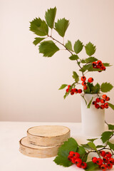 Wood podium saw cut of tree on beige background with autumn red hawthorn berries ans plaster vase. Concept scene stage showcase, product, promotion sale, presentation, beauty cosmetic. 